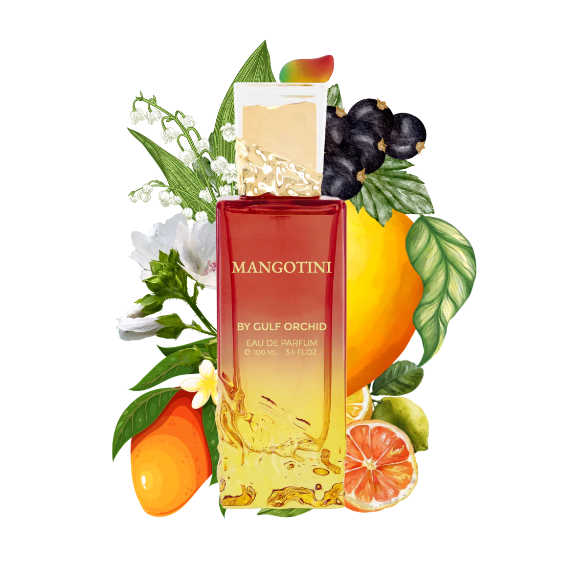 MANGOTINI BY GULF ORCHID
