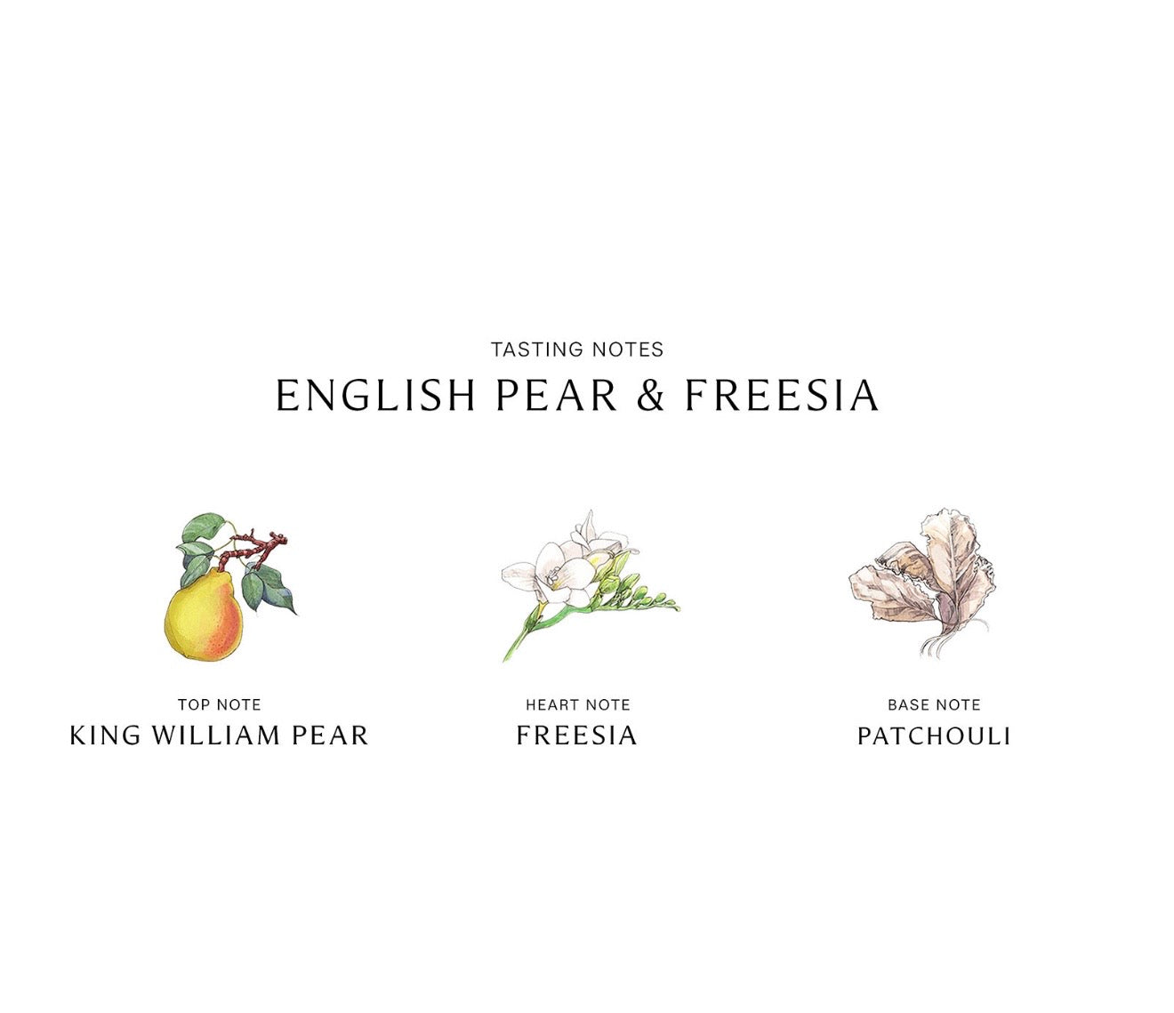 JO MALONE ENGLISH PEAR & FRESIA TESTER(CAJA BLANCA)100ML