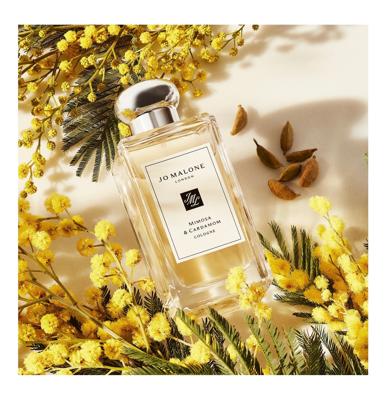 JO MALONE MIMOSA & CARDAMOM(SIN CAJA)